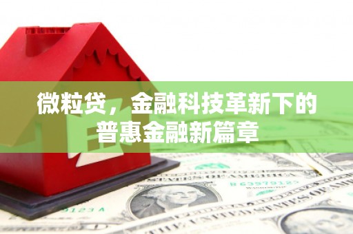 禹州微粒贷，金融科技革新下的普惠金融新篇章