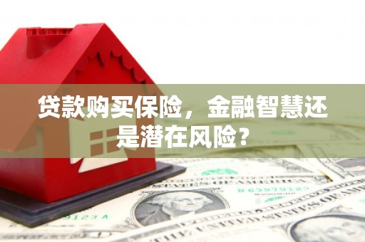 禹州贷款购买保险，金融智慧还是潜在风险？