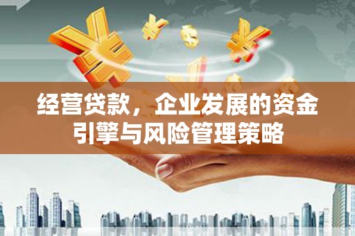 禹州经营贷款，企业发展的资金引擎与风险管理策略
