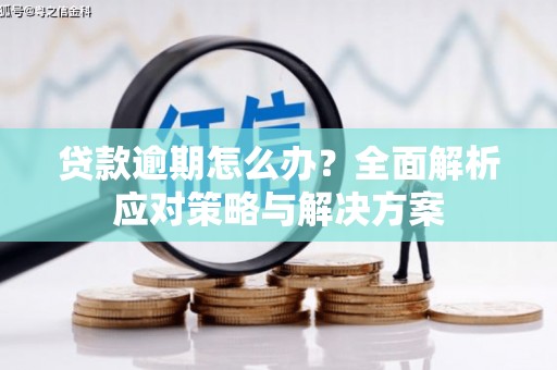 禹州贷款逾期怎么办？全面解析应对策略与解决方案