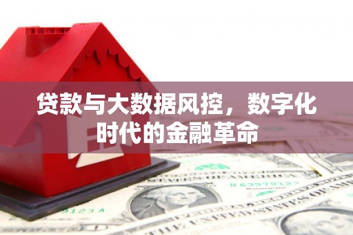 禹州贷款与大数据风控，数字化时代的金融革命