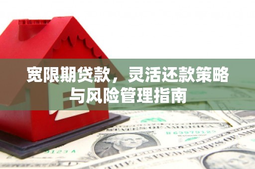 禹州宽限期贷款，灵活还款策略与风险管理指南