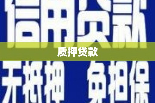 禹州质押贷款