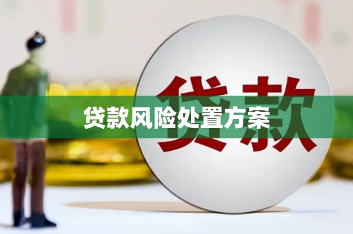 禹州贷款风险处置方案