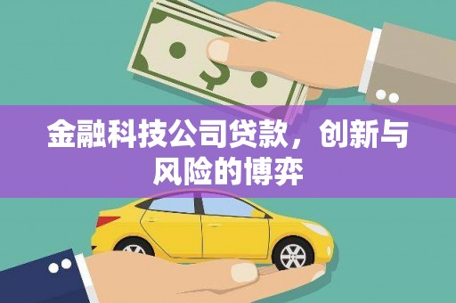 禹州金融科技公司贷款，创新与风险的博弈