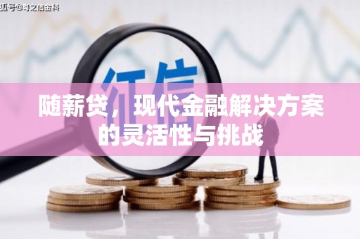 禹州随薪贷，现代金融解决方案的灵活性与挑战