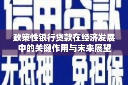 禹州政策性银行贷款在经济发展中的关键作用与未来展望