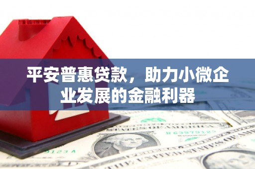 禹州平安普惠贷款，助力小微企业发展的金融利器