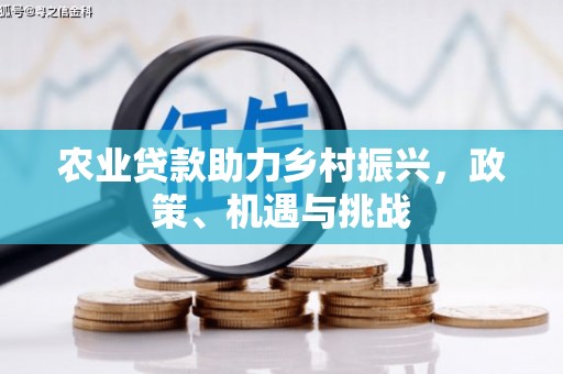 禹州农业贷款助力乡村振兴，政策、机遇与挑战