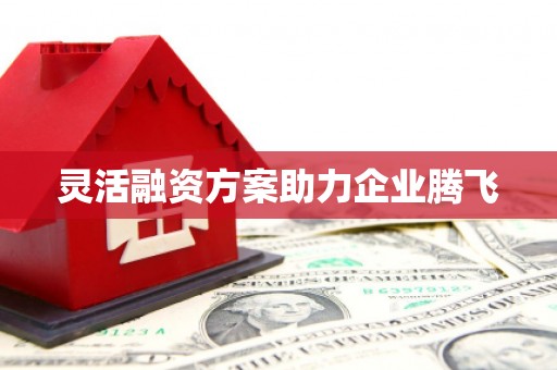 禹州灵活融资方案助力企业腾飞