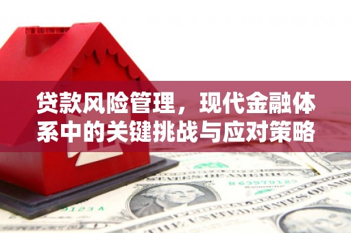 禹州贷款风险管理，现代金融体系中的关键挑战与应对策略