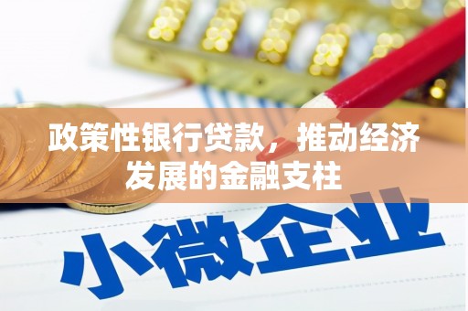 禹州政策性银行贷款，推动经济发展的金融支柱