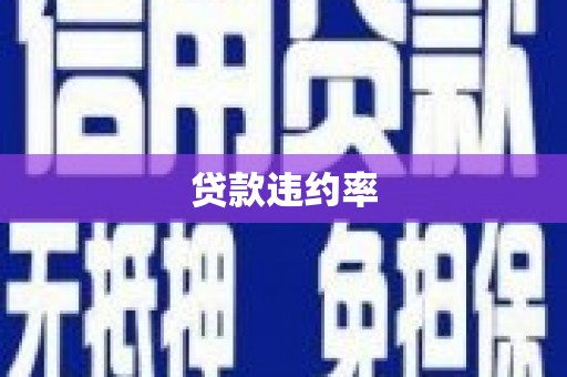 禹州贷款违约率