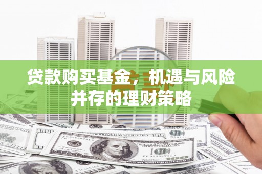禹州贷款购买基金，机遇与风险并存的理财策略
