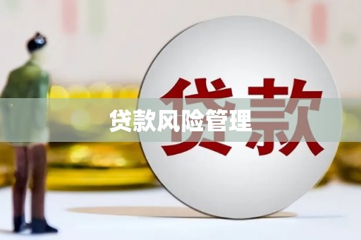 禹州贷款风险管理