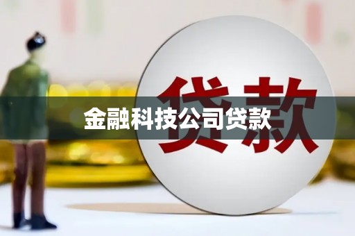 禹州金融科技公司贷款