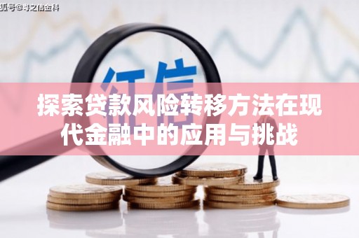 禹州探索贷款风险转移方法在现代金融中的应用与挑战
