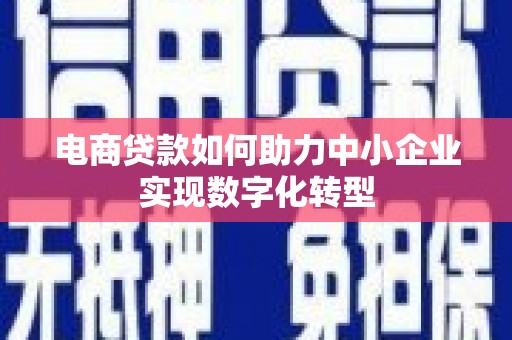 禹州电商贷款如何助力中小企业实现数字化转型