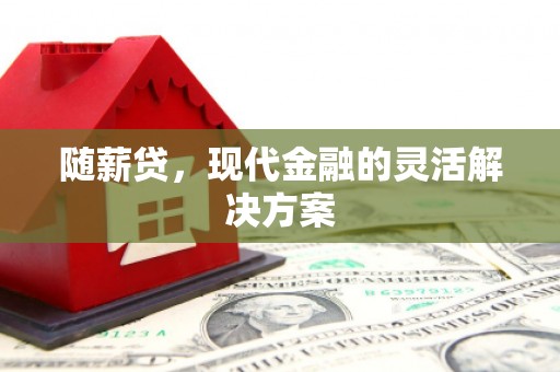 禹州随薪贷，现代金融的灵活解决方案