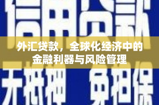 禹州外汇贷款，全球化经济中的金融利器与风险管理