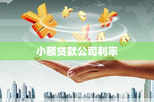 禹州小额贷款公司利率