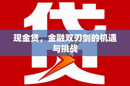 禹州现金贷，金融双刃剑的机遇与挑战