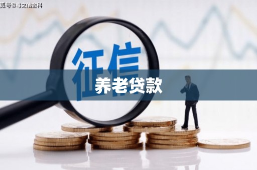 禹州养老贷款