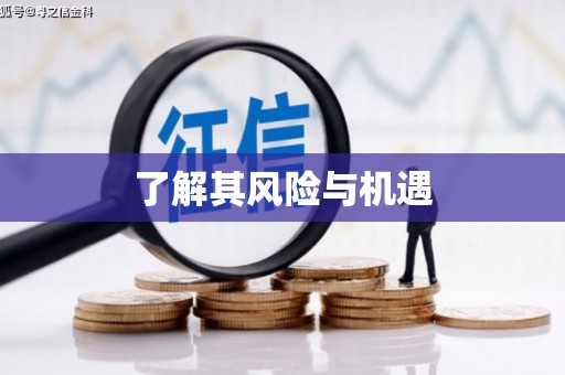禹州了解其风险与机遇