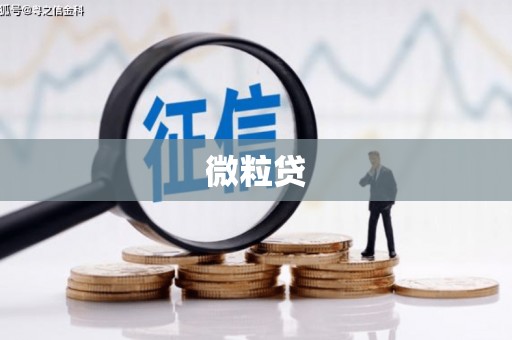 禹州微粒贷