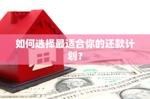 禹州如何选择最适合你的还款计划？