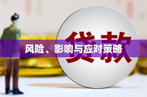 禹州风险、影响与应对策略