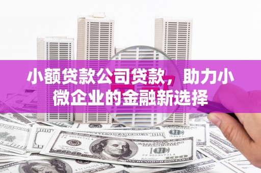 禹州小额贷款公司贷款，助力小微企业的金融新选择