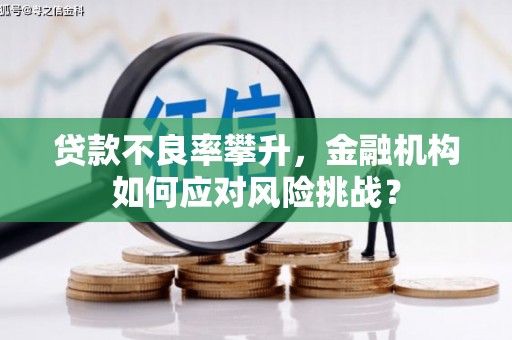 禹州贷款不良率攀升，金融机构如何应对风险挑战？