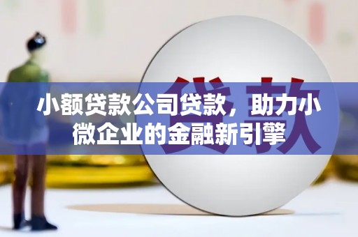 禹州小额贷款公司贷款，助力小微企业的金融新引擎
