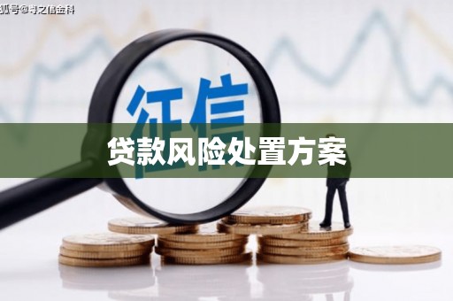 禹州贷款风险处置方案