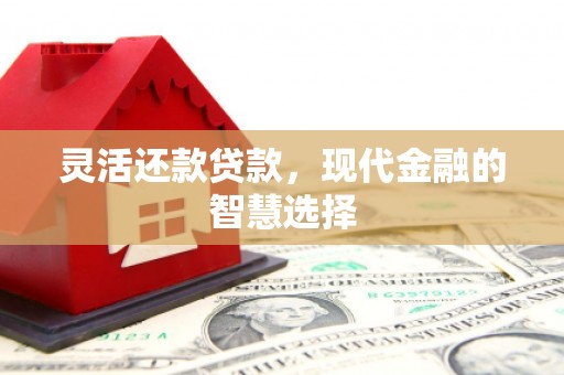 禹州灵活还款贷款，现代金融的智慧选择