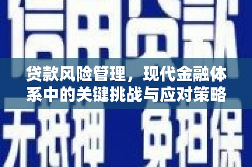 禹州贷款风险管理，现代金融体系中的关键挑战与应对策略