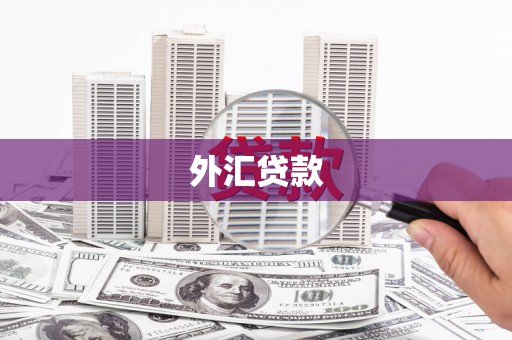 禹州外汇贷款