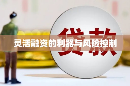 禹州灵活融资的利器与风险控制