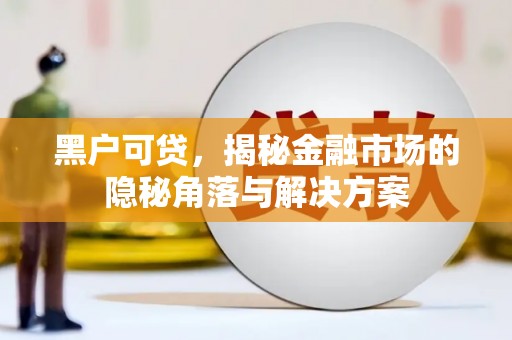 禹州黑户可贷，揭秘金融市场的隐秘角落与解决方案