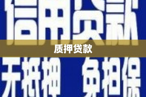 禹州质押贷款