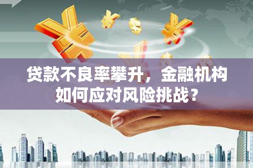 禹州贷款不良率攀升，金融机构如何应对风险挑战？