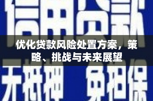禹州优化贷款风险处置方案，策略、挑战与未来展望