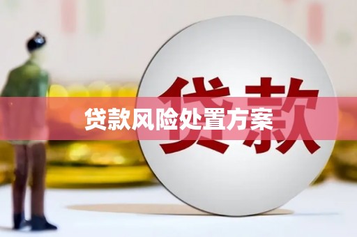 禹州贷款风险处置方案