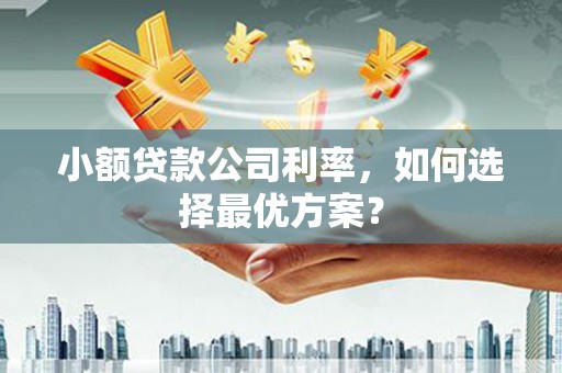 禹州小额贷款公司利率，如何选择最优方案？