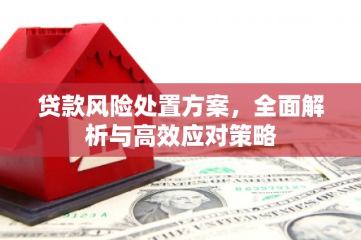 禹州贷款风险处置方案，全面解析与高效应对策略
