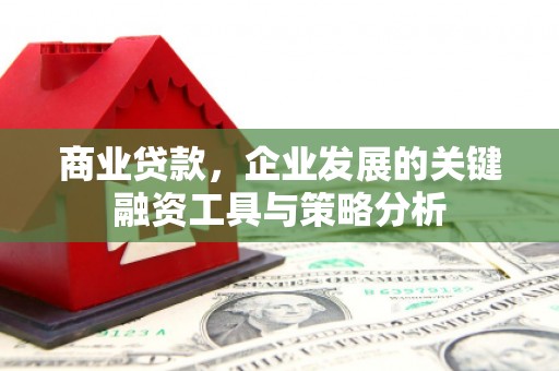 禹州商业贷款，企业发展的关键融资工具与策略分析