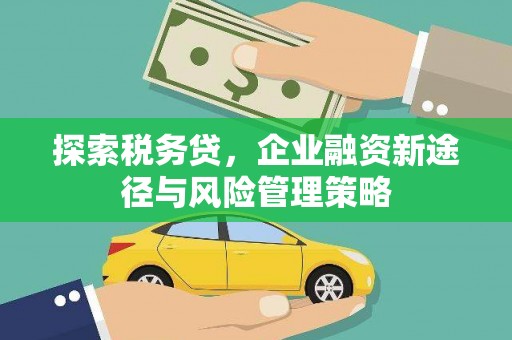 禹州探索税务贷，企业融资新途径与风险管理策略