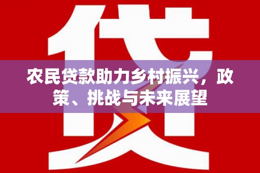禹州农民贷款助力乡村振兴，政策、挑战与未来展望