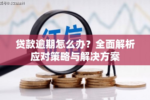 禹州贷款逾期怎么办？全面解析应对策略与解决方案